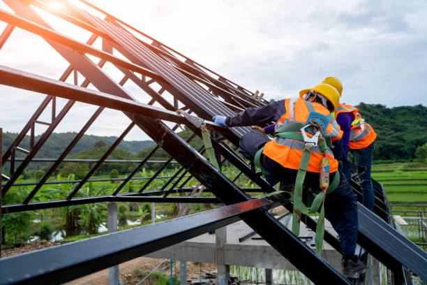 Quick and Trustworthy Emergency Roof Repair Services in Alamo, TX