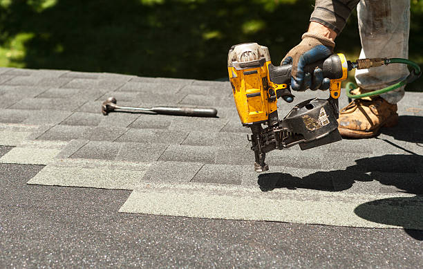 Best Metal Roofing Contractor  in Alamo, TX