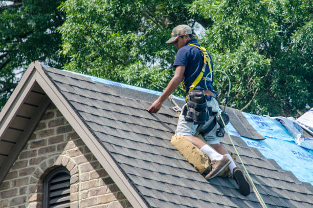 Best Gutter Installation and Roofing  in Alamo, TX